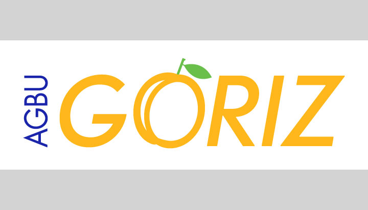 AGBU Goriz Leadership Development Programme Held its Final Digital Session for the Year 2021
